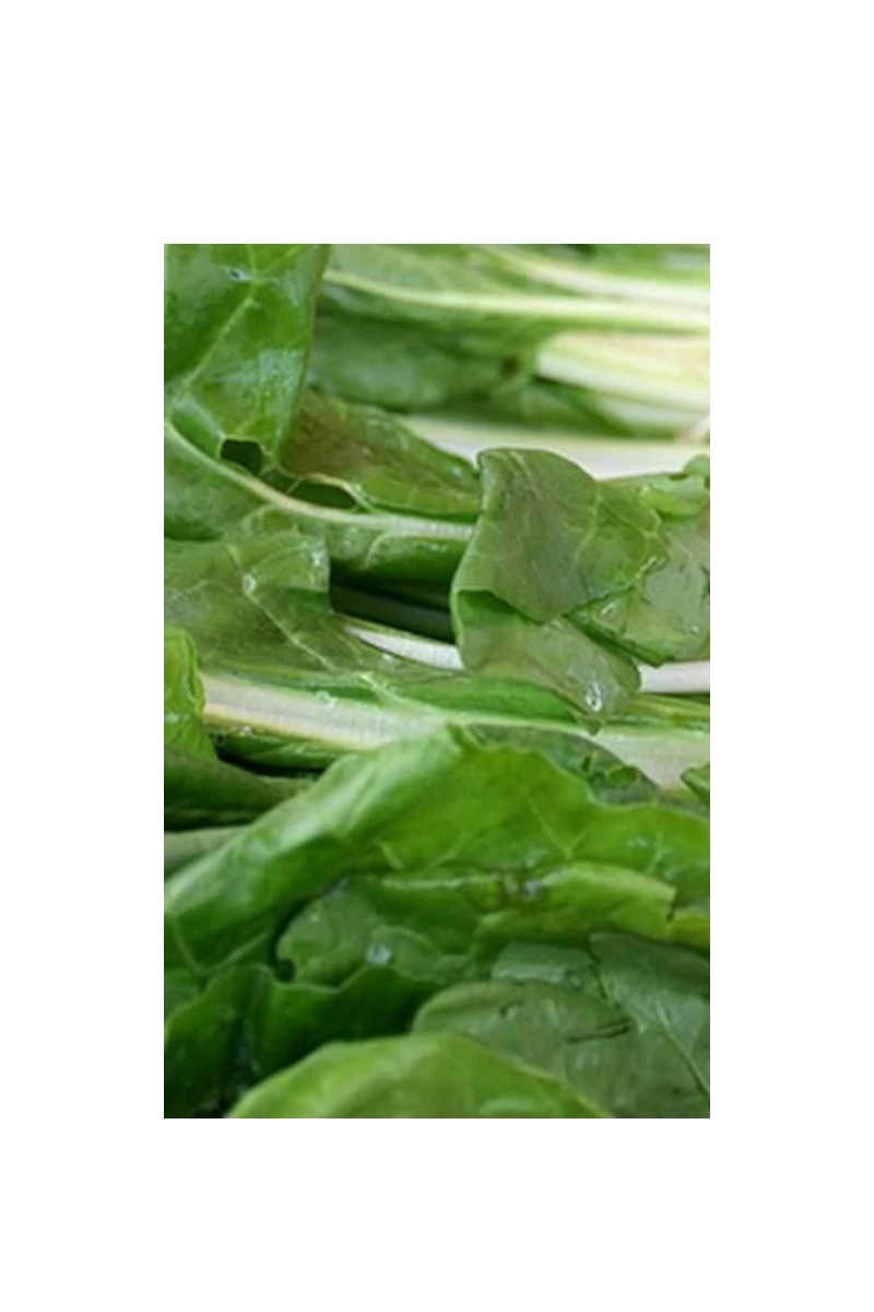 FROZEN IN SWISS CHARD