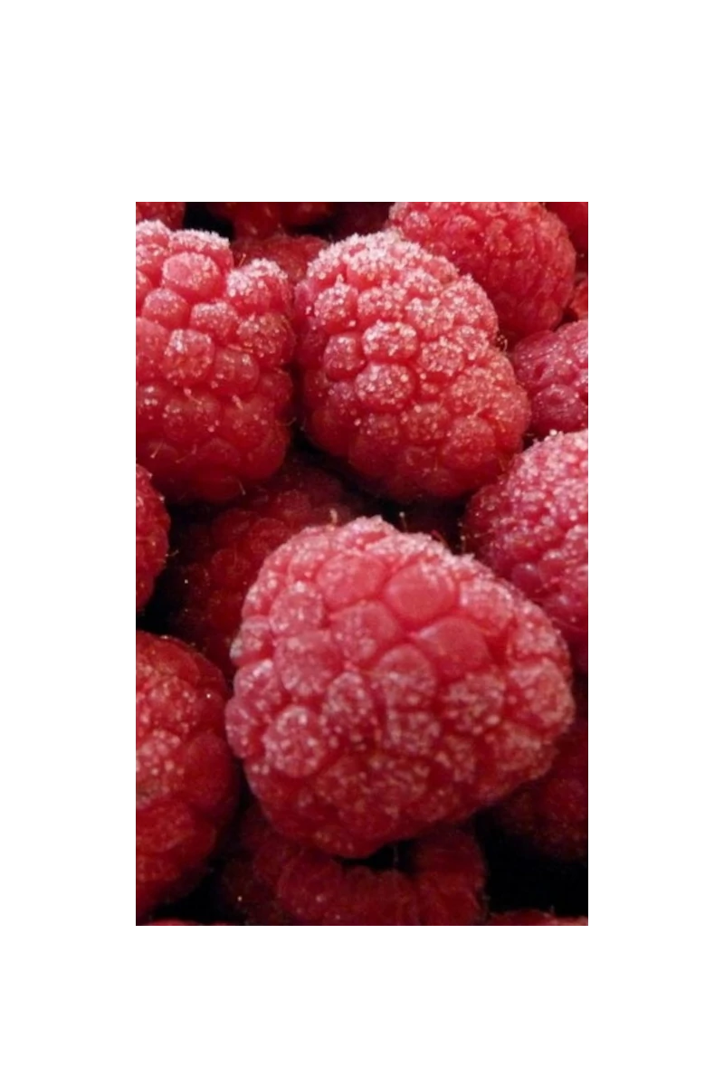 FROZEN IN RASPBERRY